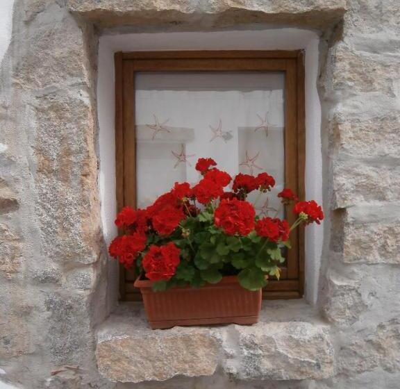 צימר Olbia Domus Inn