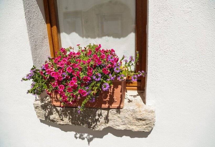 צימר Olbia Domus Inn