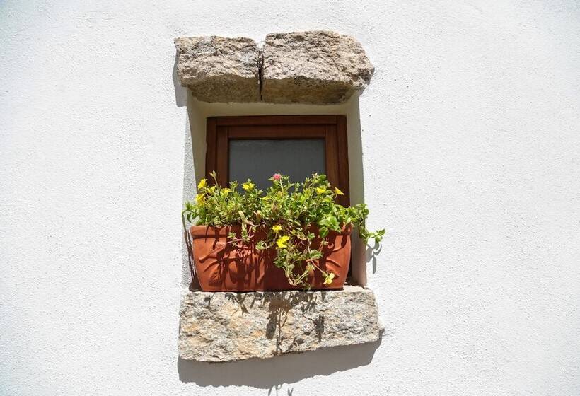 צימר Olbia Domus Inn