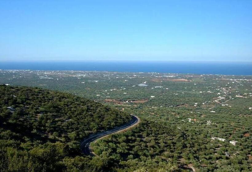 B&b Palazzo Antonelli