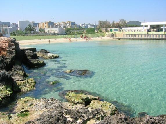 B&b Palazzo Antonelli