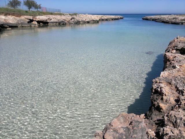 B&b Palazzo Antonelli