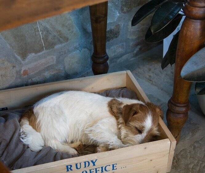 צימר Salvadonica