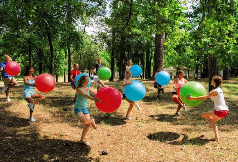 Belambra Clubs La Palmyre   Les Mathes