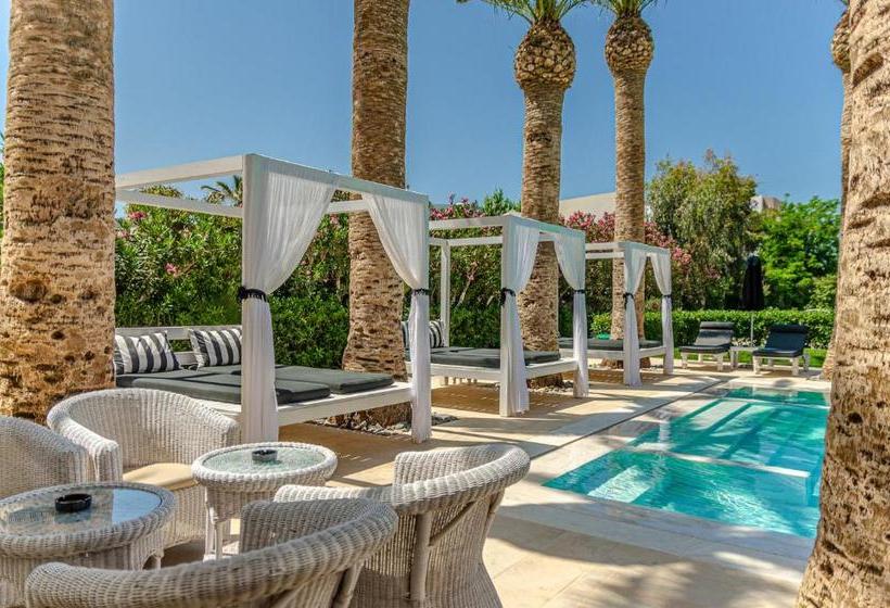 Drossia Palms Hotel And Nisos Beach Suites