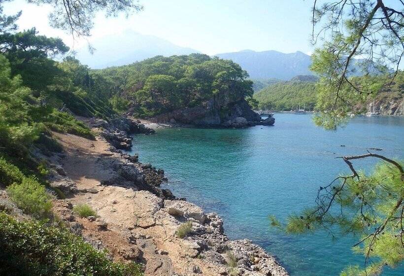 Grand Mir Amor Hotel   Ultra All Inclusive