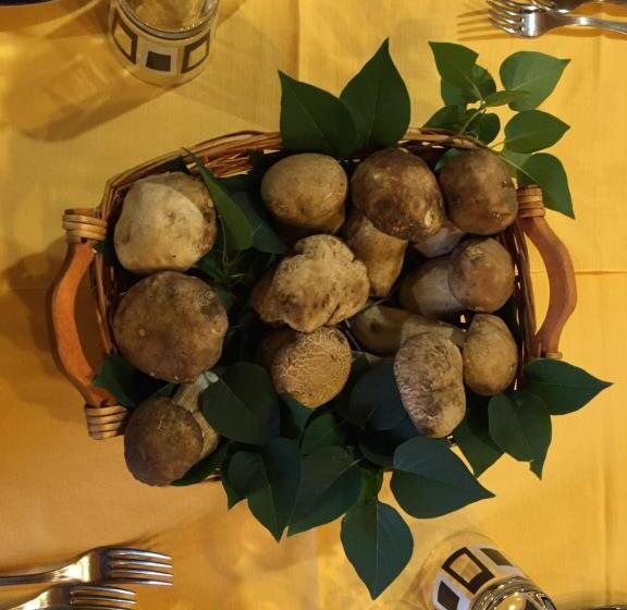 בית מלון כפרי Albergo Stella