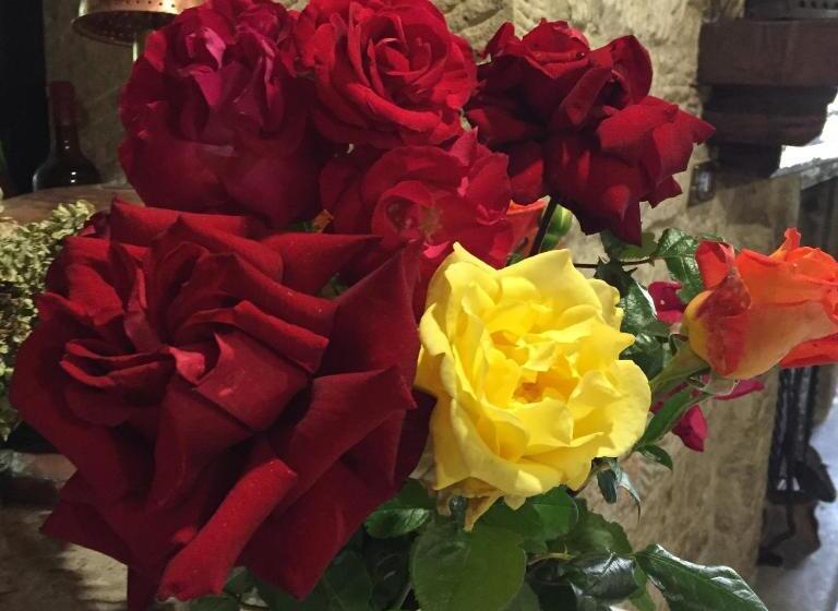 בית מלון כפרי Albergo Stella