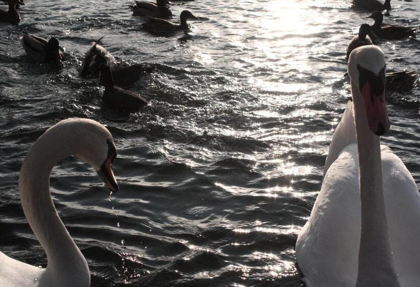 هتل Apartments Rooms Kocijancic