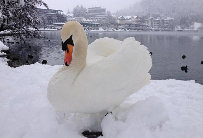 هتل Apartments Rooms Kocijancic