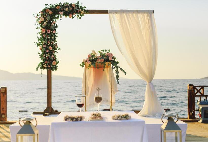 酒店 The Plaza Bodrum