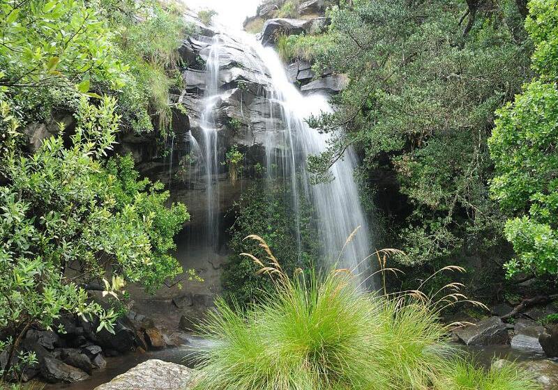 בית מלון כפרי Cathedral Peak