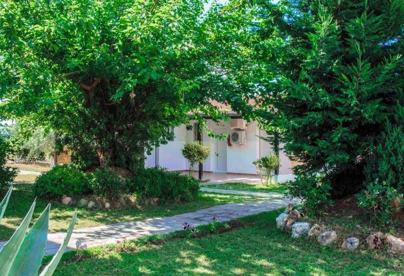 酒店 Coral Blue Beach