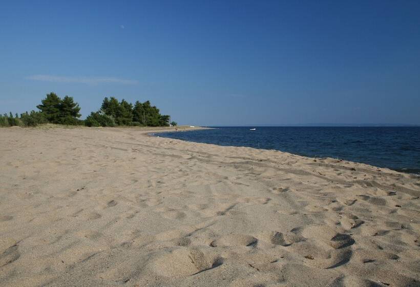 酒店 Coral Blue Beach