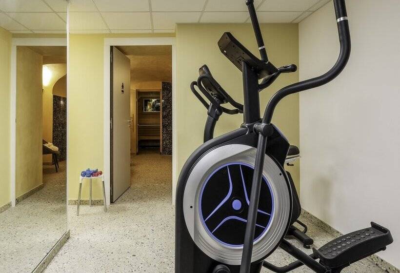 هتل Hôtel des Vosges