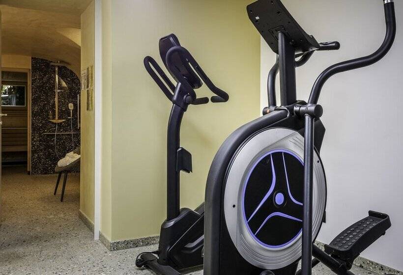 酒店 Hôtel des Vosges