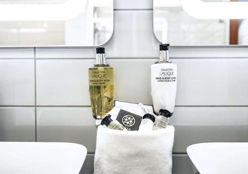 酒店 Hôtel des Vosges