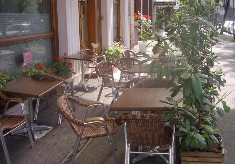 هتل Hôtel des Vosges