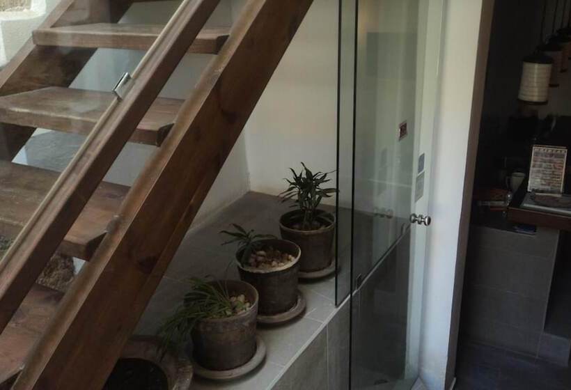 בית מלון כפרי Domus Studios