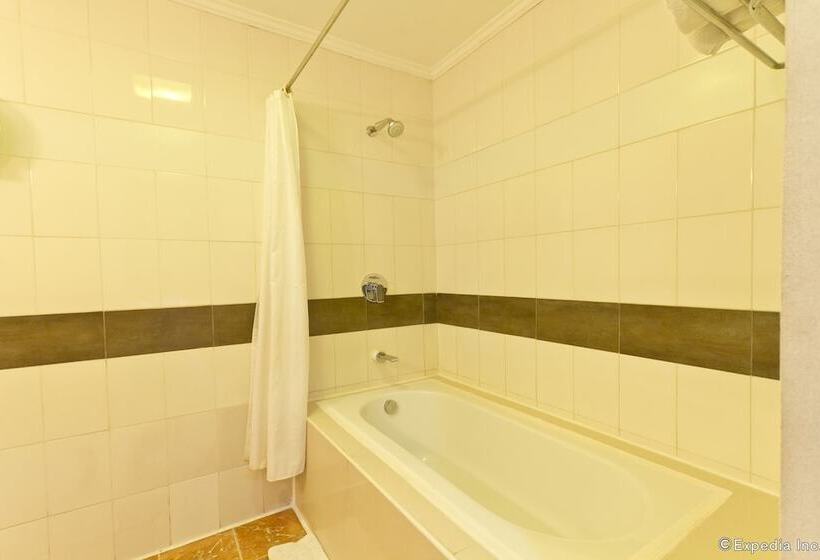 Cebu Dulcinea Hotel And Suites Mactan Airport