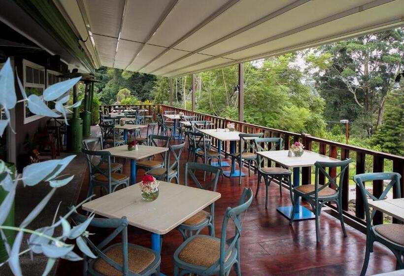 호텔 Finca Lerida Coffee Plantation And Boutique