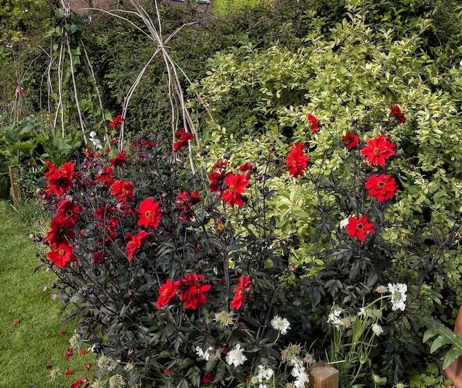 Отель Grays Court