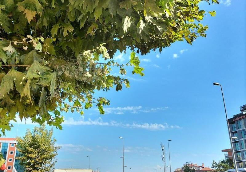 هتل Istanbul Dedem  1