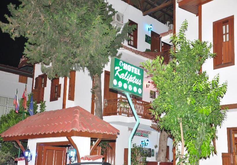ホテル Kaliptus