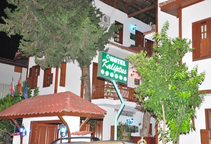 ホテル Kaliptus