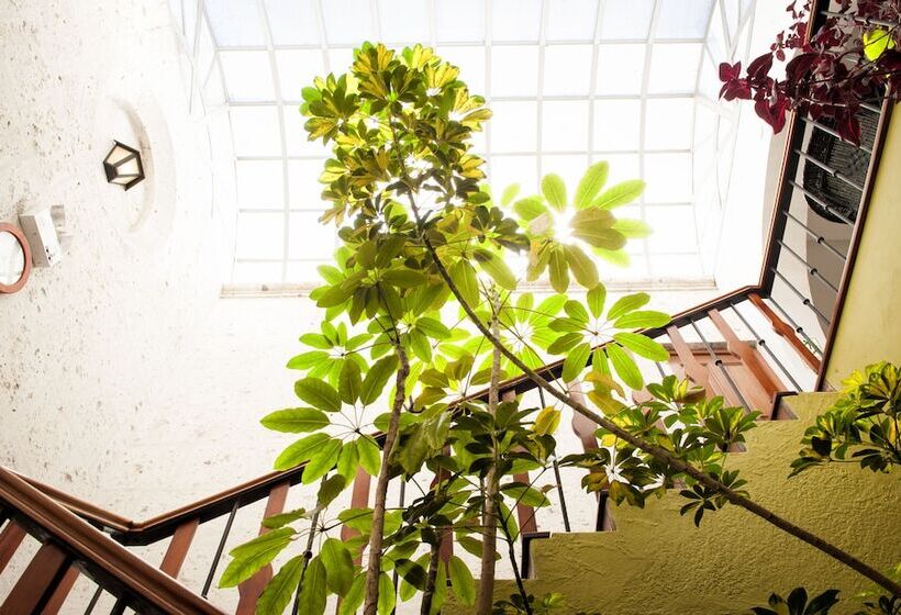 בית מלון כפרי La Hosteria Boutique