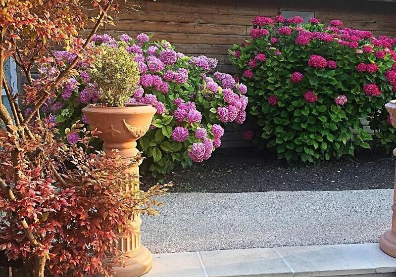 酒店 Le Continental