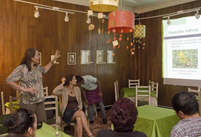 בית מלון כפרי Manso Boutique Guest House