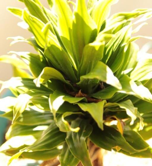 Hotel One Crescent Place