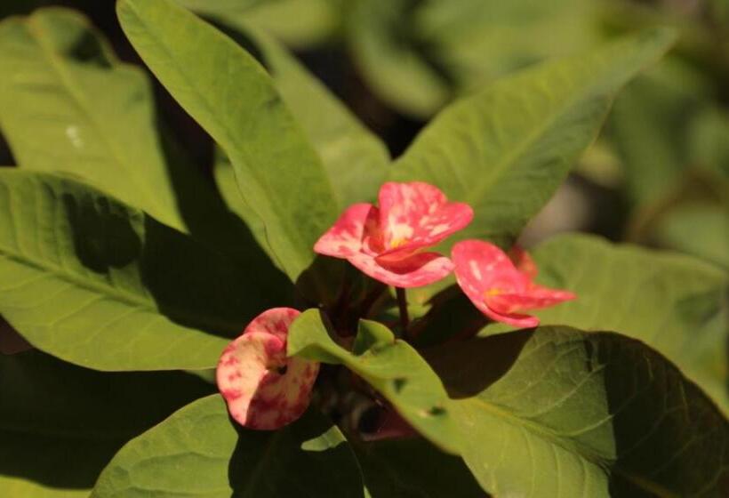 Hotel One Crescent Place