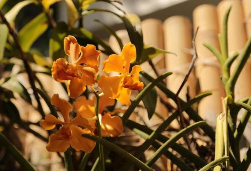 Hotel One Crescent Place