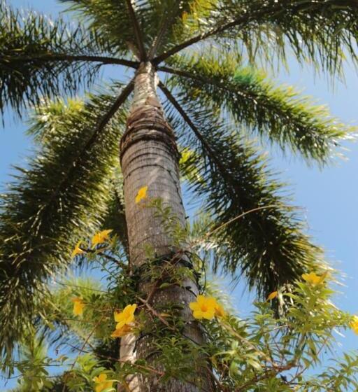 Hotel One Crescent Place