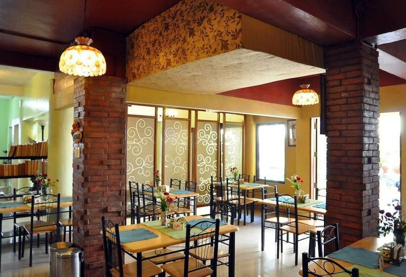 호텔 Pacific Pensionne