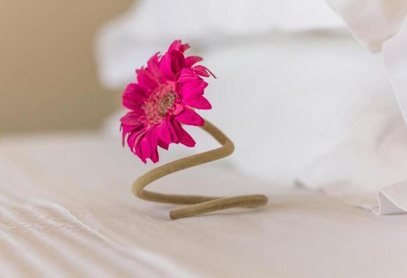 ホテル Palms And Spas Villas Retreat