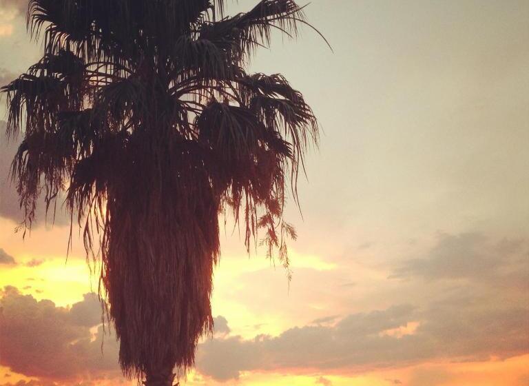 ホテル Palms And Spas Villas Retreat