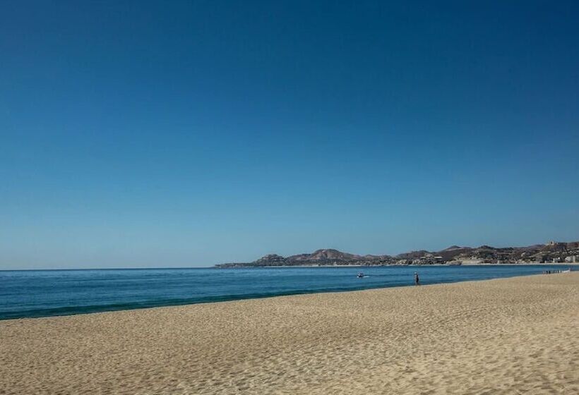 호텔 Park Royal Homestay Los Cabos