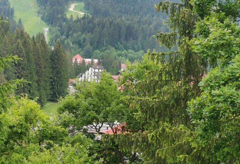 בית מלון כפרי Pension Condor