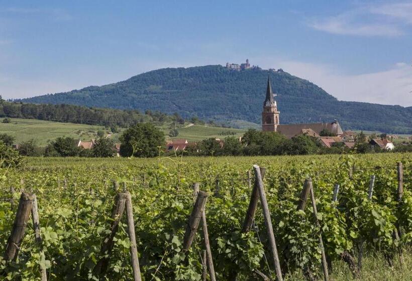 בית מלון כפרי Residence Odalys Le Domaine Des Rois