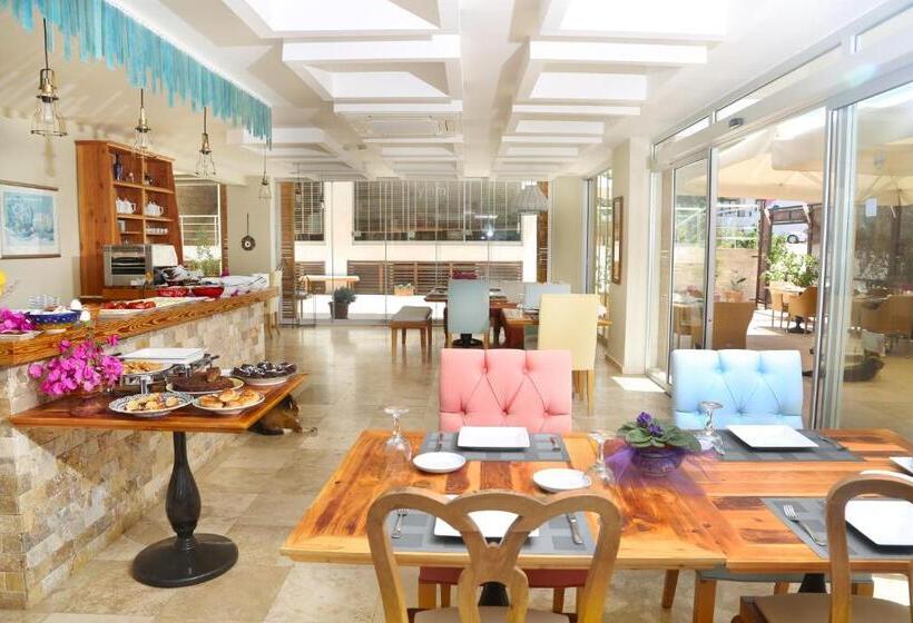 בית מלון כפרי Saylam Suites