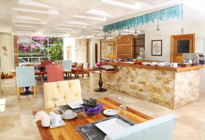 בית מלון כפרי Saylam Suites