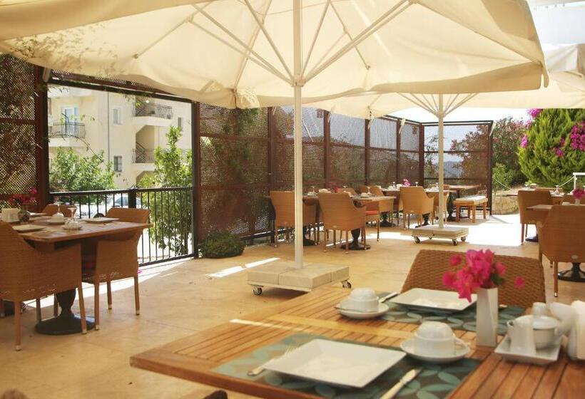 בית מלון כפרי Saylam Suites