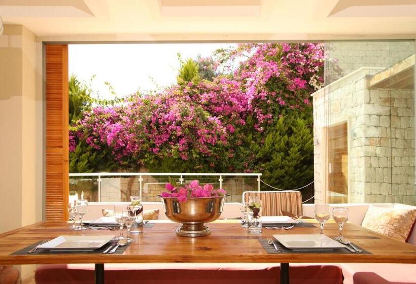 בית מלון כפרי Saylam Suites