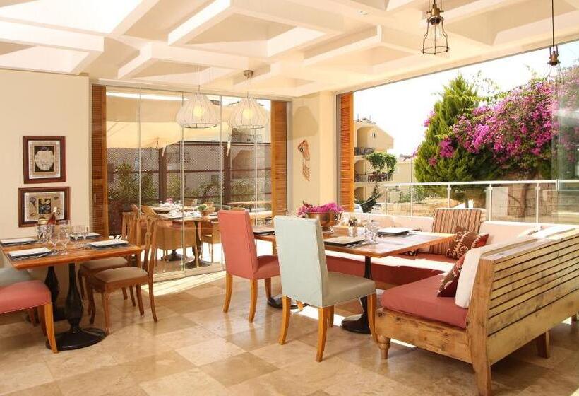 בית מלון כפרי Saylam Suites