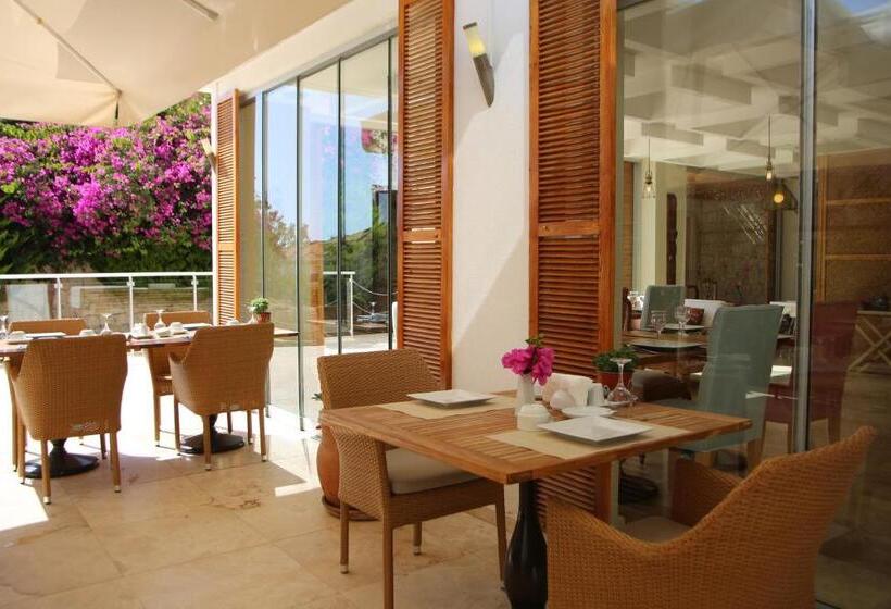 בית מלון כפרי Saylam Suites