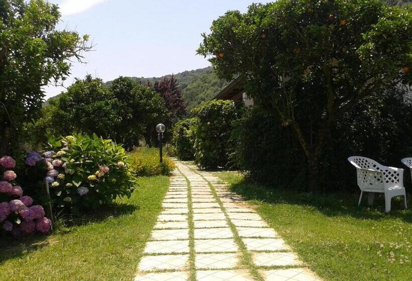 Il Casale Delle Arance