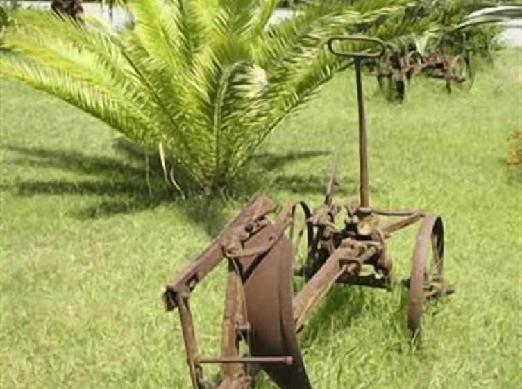 Il Casale Delle Arance